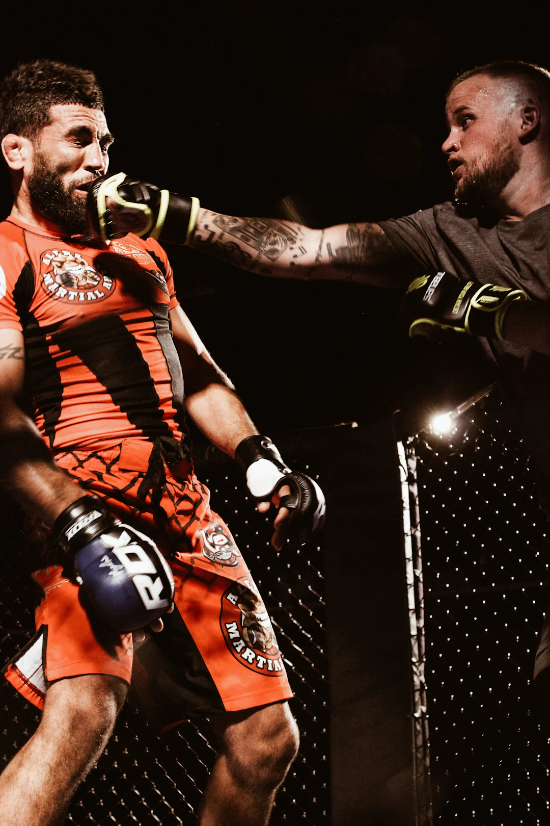 Breaking Down Famous MMA Fights: What We Learned