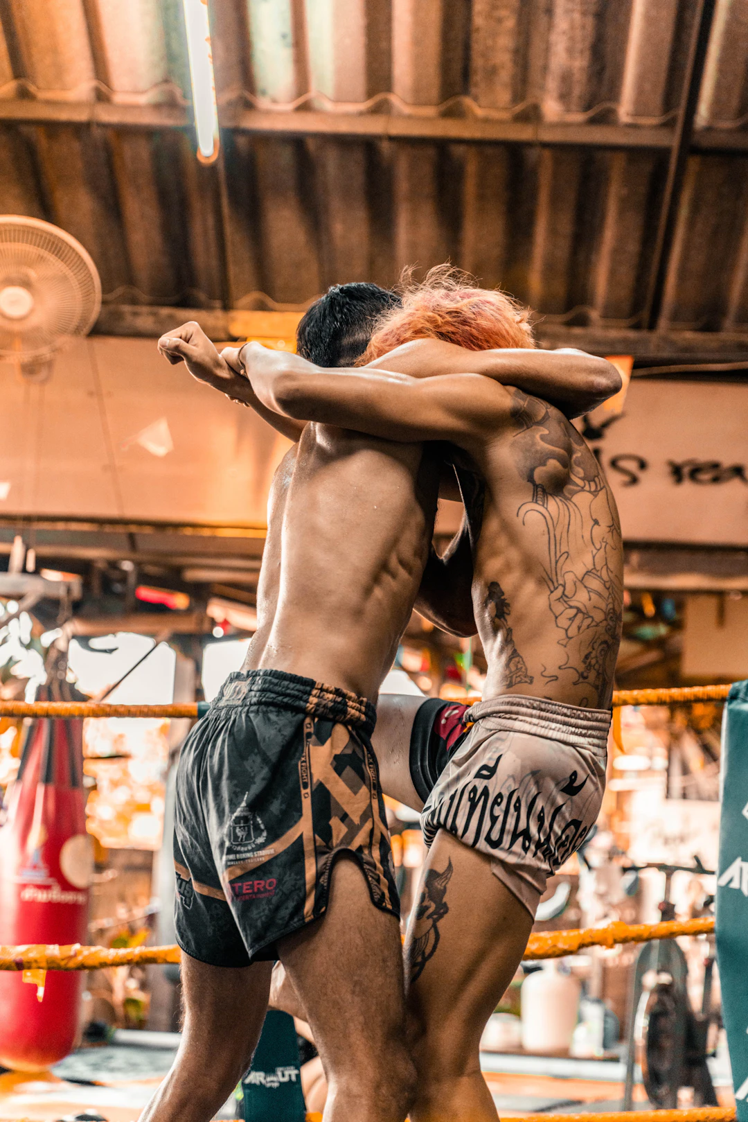 Unforgettable Upsets in MMA: When Underdogs Triumph
