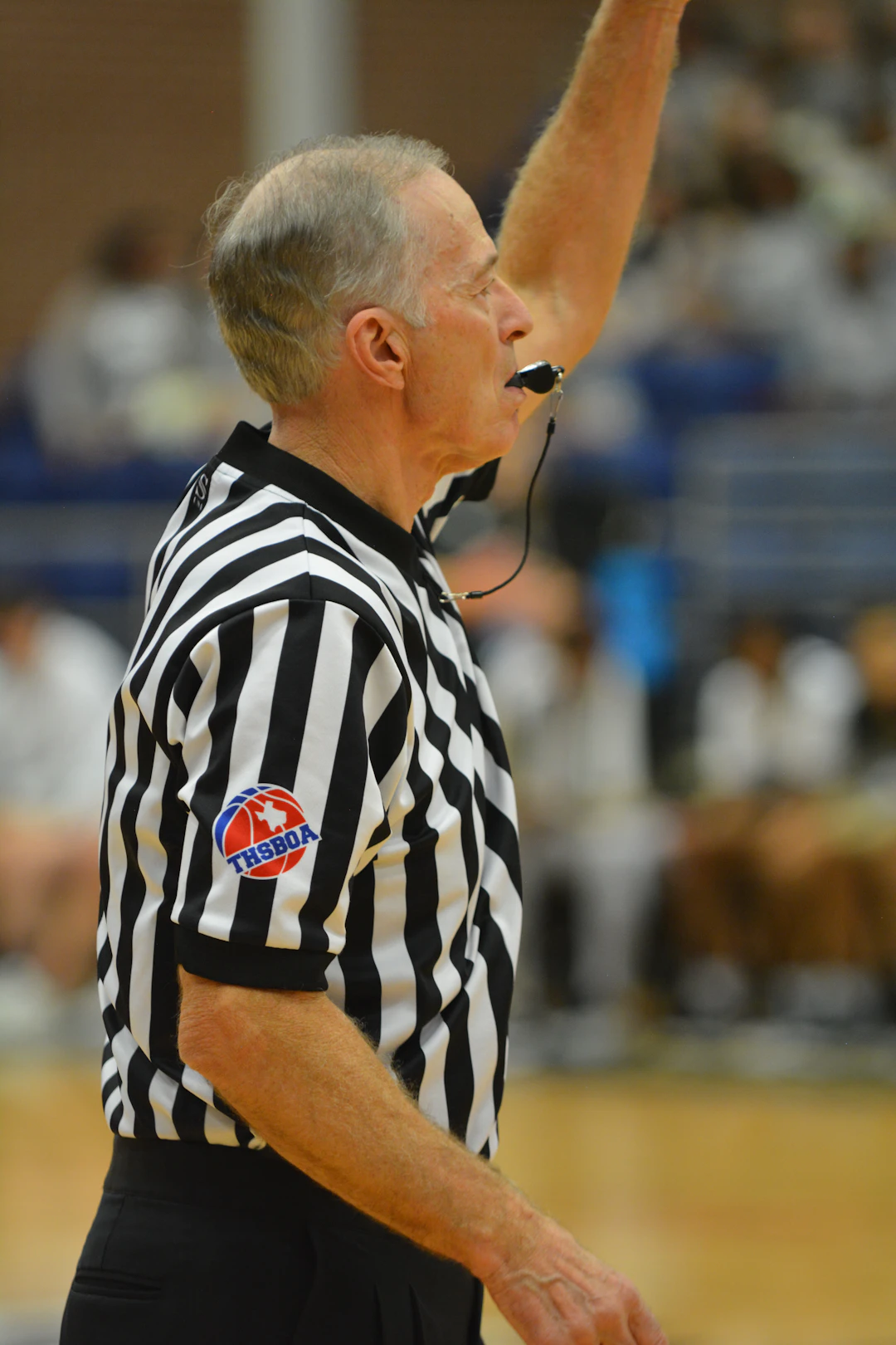 Exploring the Role of Referees in MMA Matches