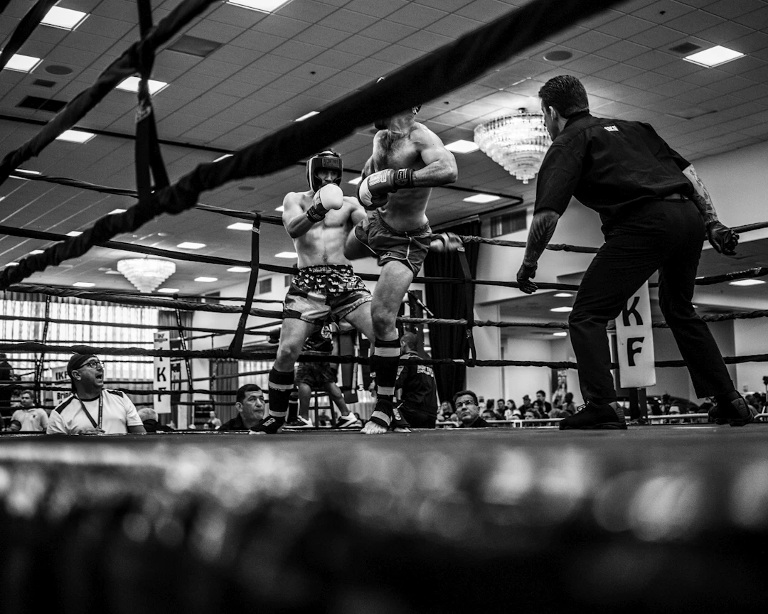 Exploring the Business Side of MMA Promotions