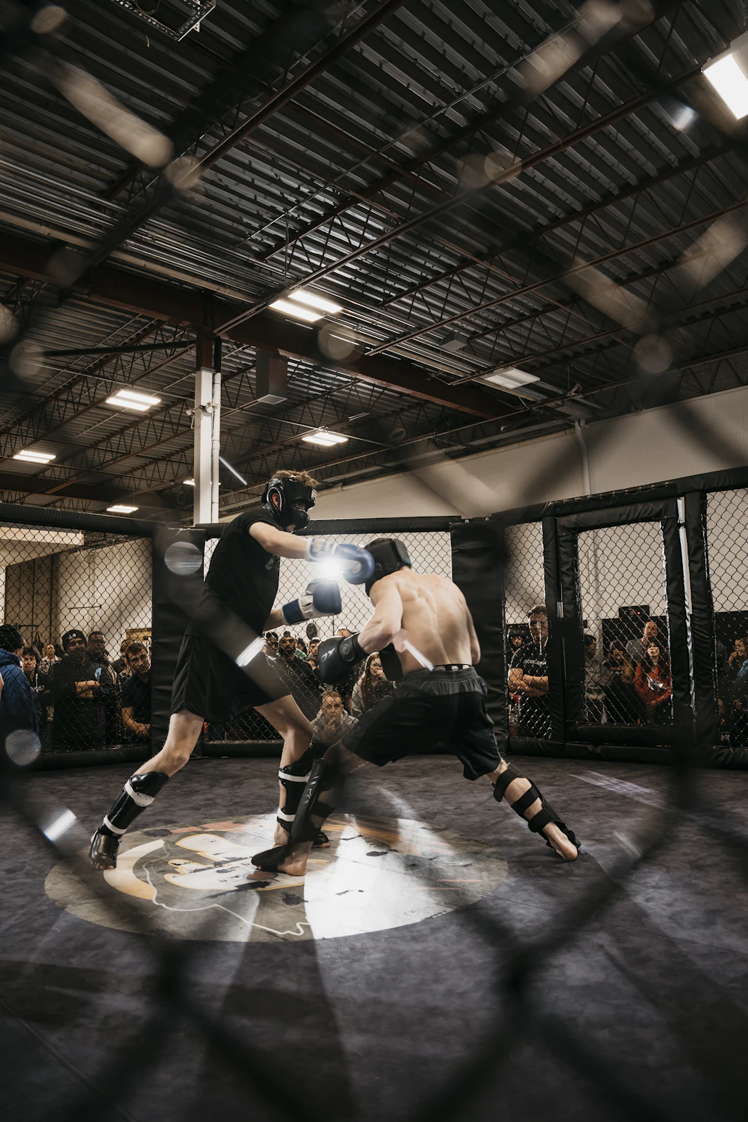Exploring the Global Impact of MMA: A Worldwide Phenomenon