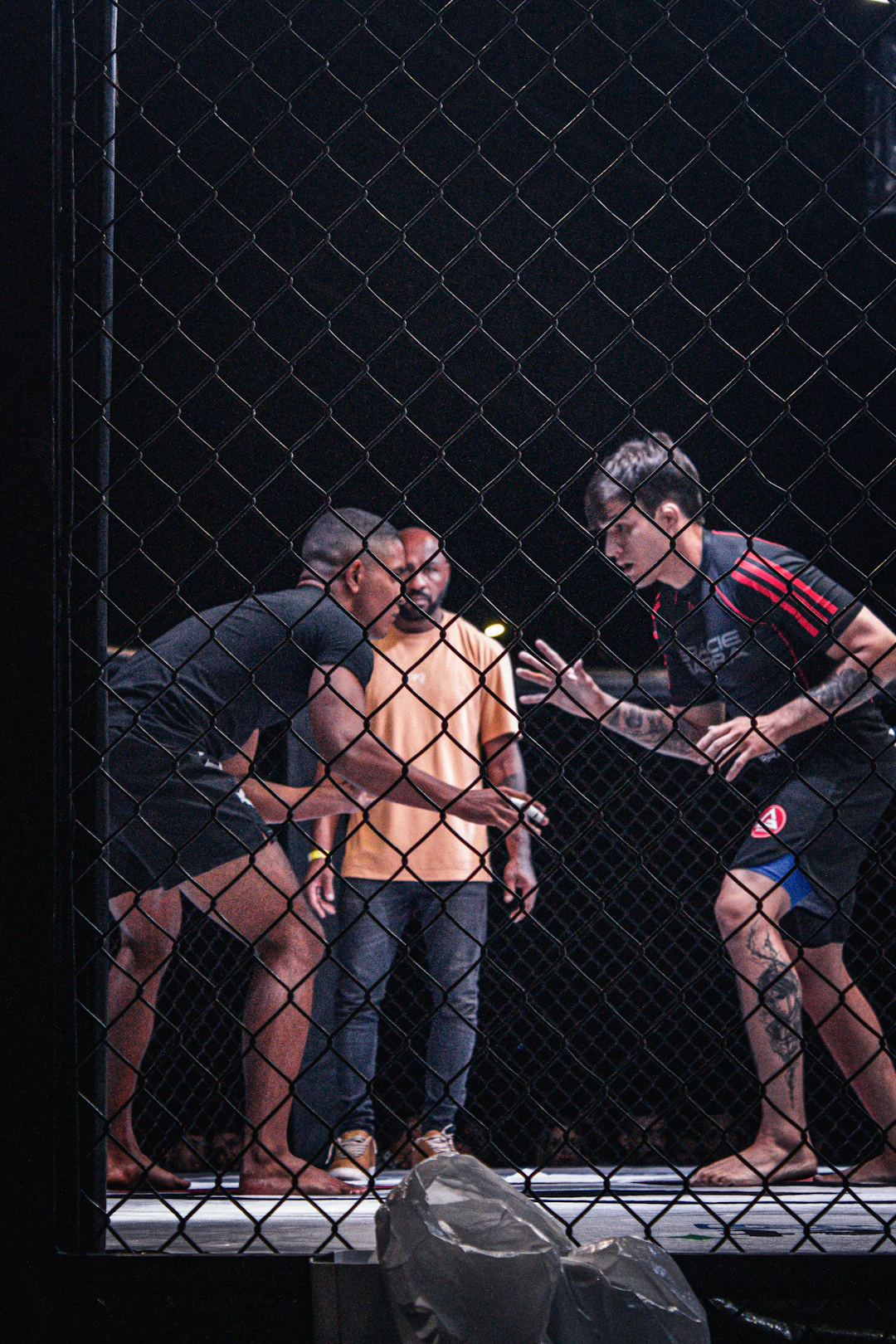 The Journey of an MMA Fighter: From Amateur to Professional