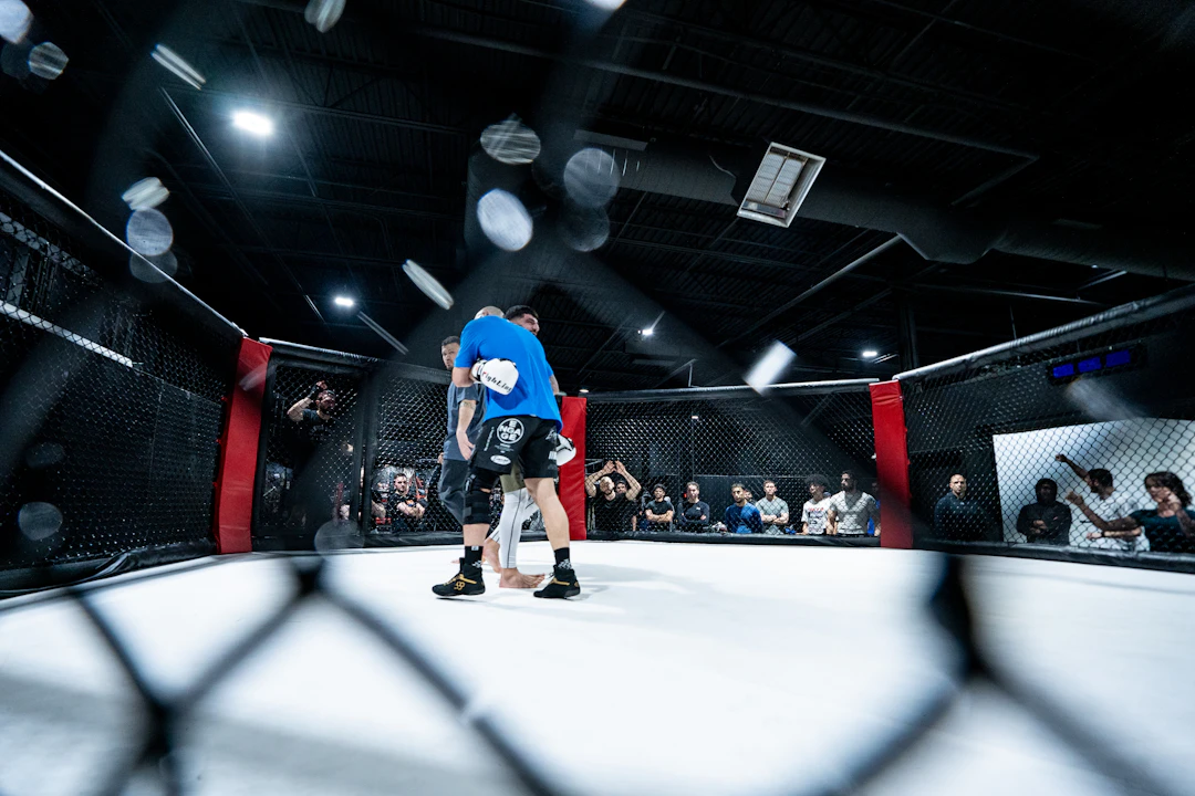 MMA Regulation and Safety: What You Need to Know