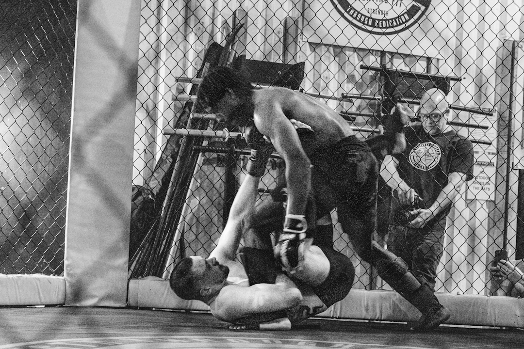 A Beginner's Guide to Watching MMA Fights