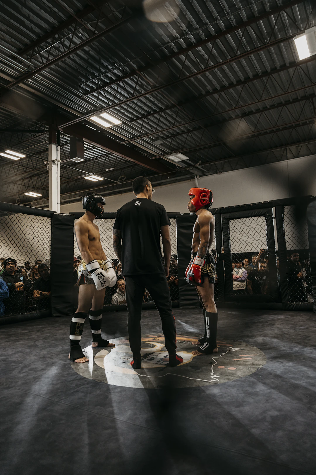 Exploring MMA's Influence on Other Sports