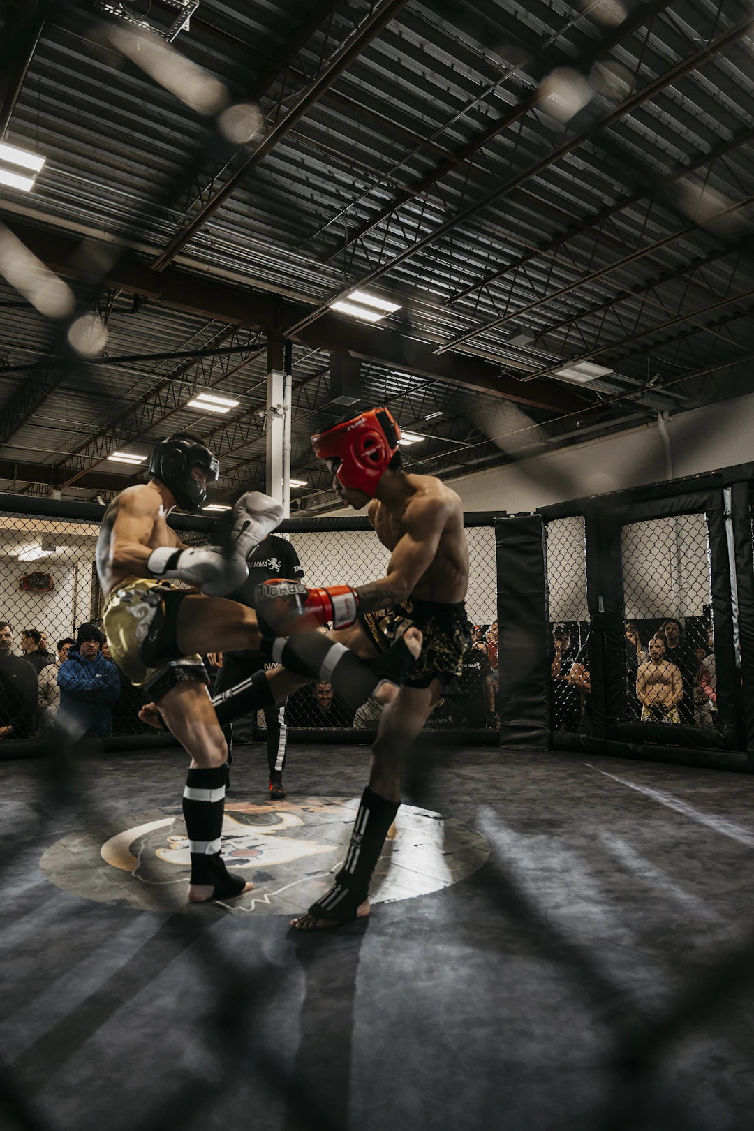 The Best MMA Documentaries to Watch