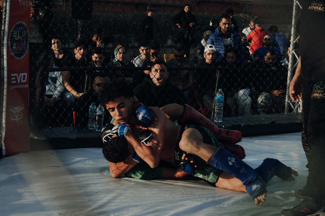 Understanding the Fan Base: Who Follows MMA?