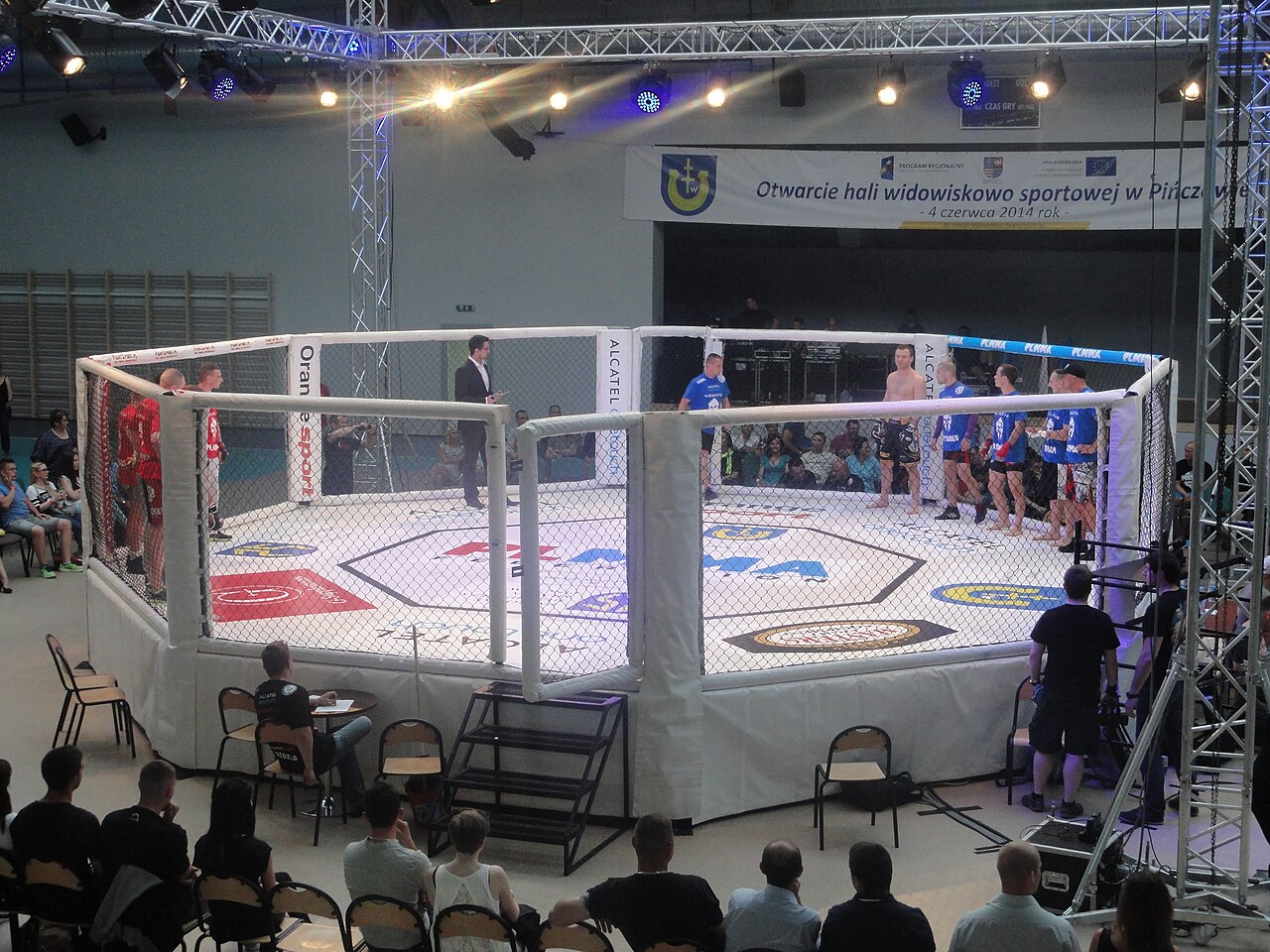 MMA News Roundup — June 13, 2026